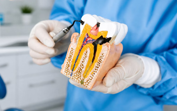 Strict Biocompatibility Regulations and Sustainable Dental Products